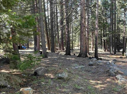 619 Clifford Trail, Lake Almanor, CA 96137 Photo