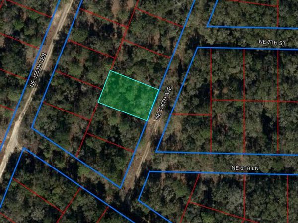 000 NE 156TH AVENUE, WILLISTON, FL 32696