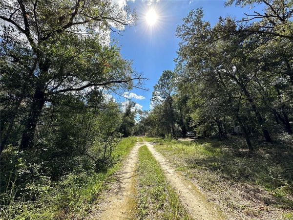 000 NE 156TH AVENUE, WILLISTON, FL 32696