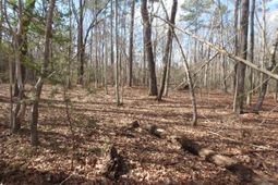 0 Amicks Ferry Road photo 4