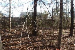 0 Amicks Ferry Road photo 4