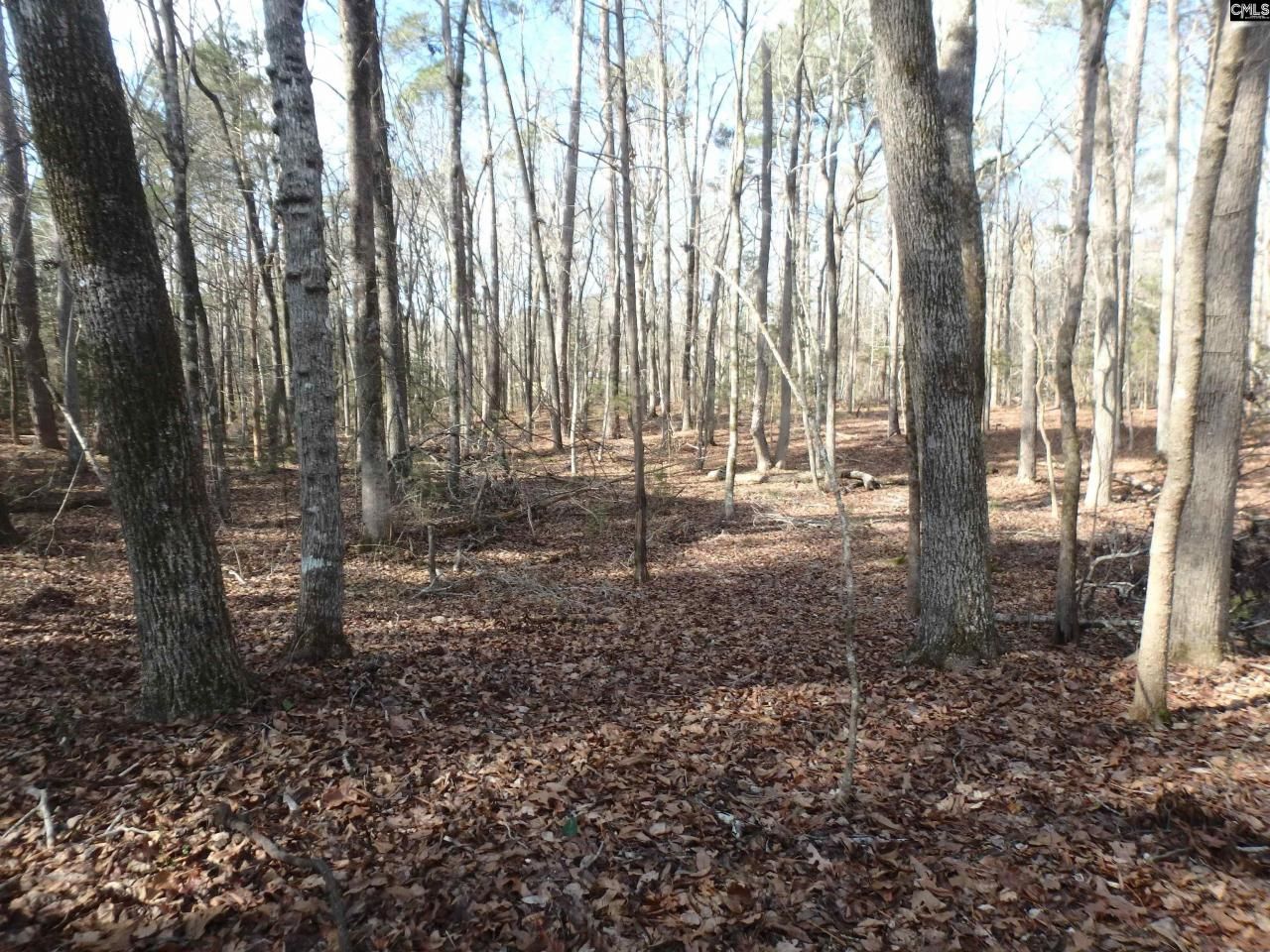 0 Amicks Ferry Road Photo 4