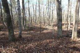 0 Amicks Ferry Road photo 4