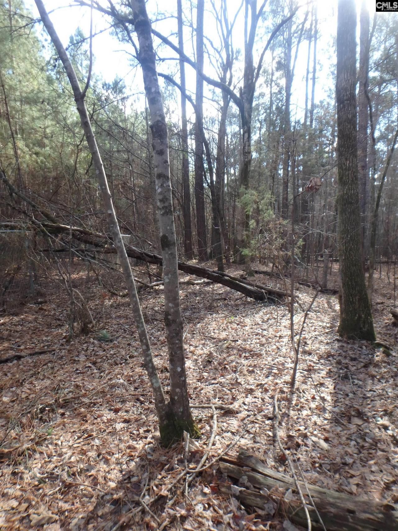 0 Amicks Ferry Road Photo 5