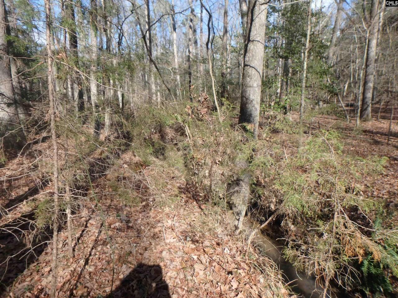 0 Amicks Ferry Road Photo 7