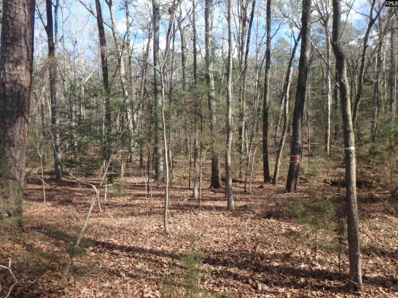 0 Amicks Ferry Road Photo 8