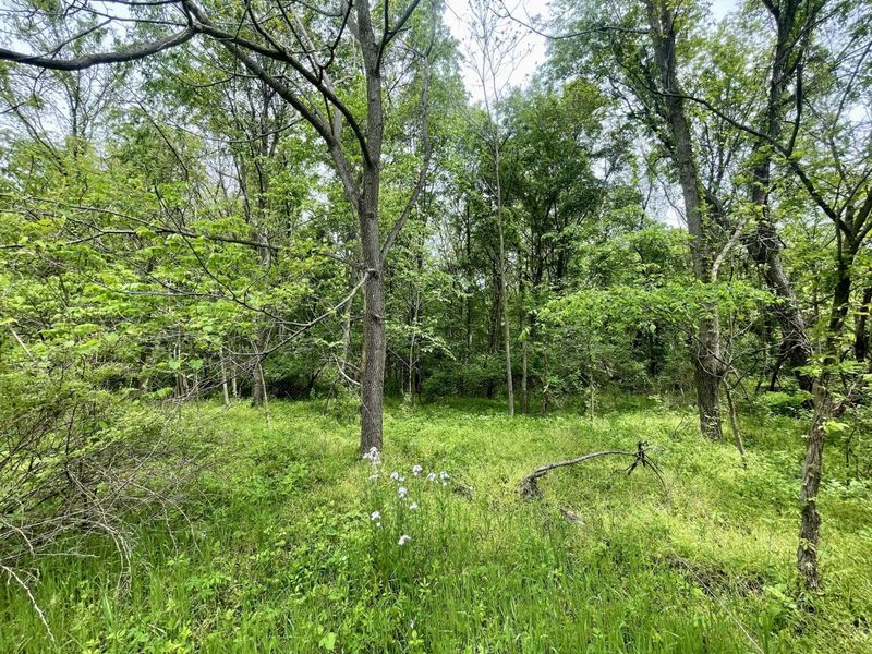 0 Stickle Road, Saint Louisville, OH 43071 Photo 3