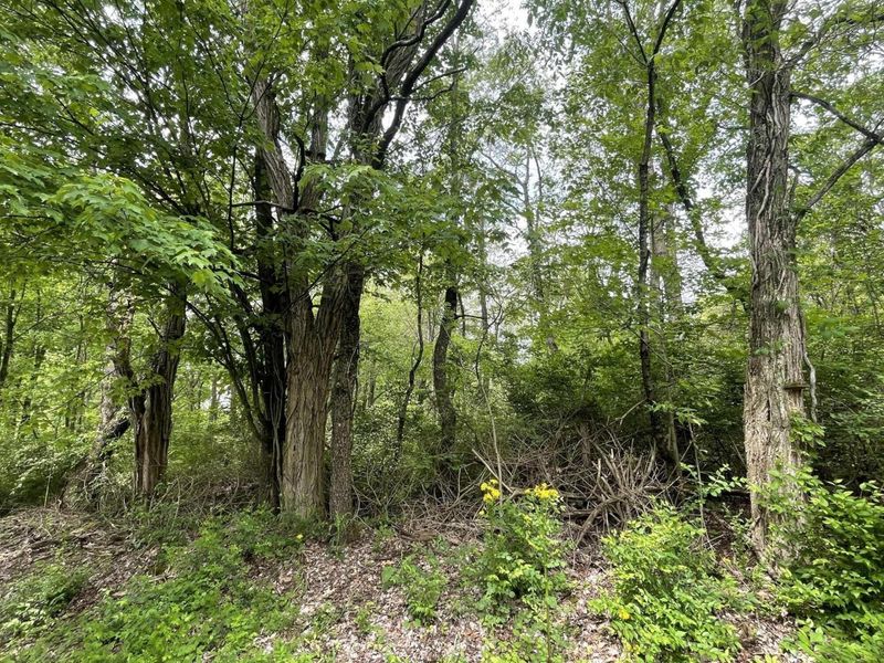 0 Stickle Road, Saint Louisville, OH 43071 Photo 5