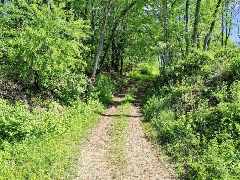 0 Stickle Road, Saint Louisville, OH 43071 Photo 6