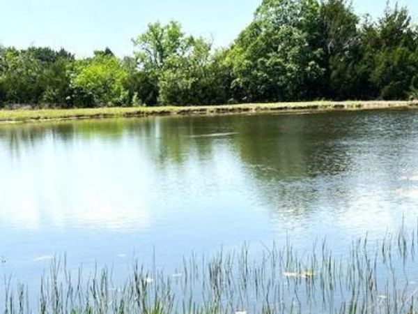 tbd CR 663, Farmersville, TX 75442