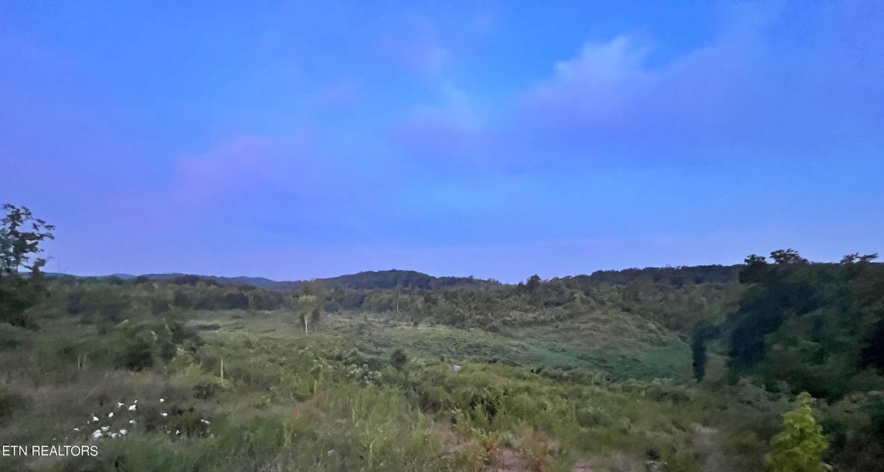 169 County Road 188, Decatur, TN 37322 Main Photo