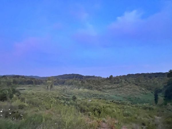 169 County Road 188, Decatur, TN 37322