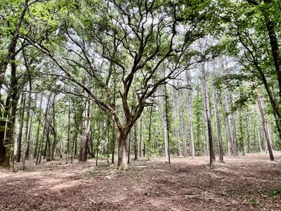 2 Becky Lane, Yemassee, SC 29945