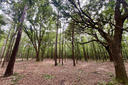 2 Becky Lane photo 4