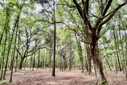 2 Becky Lane photo 4