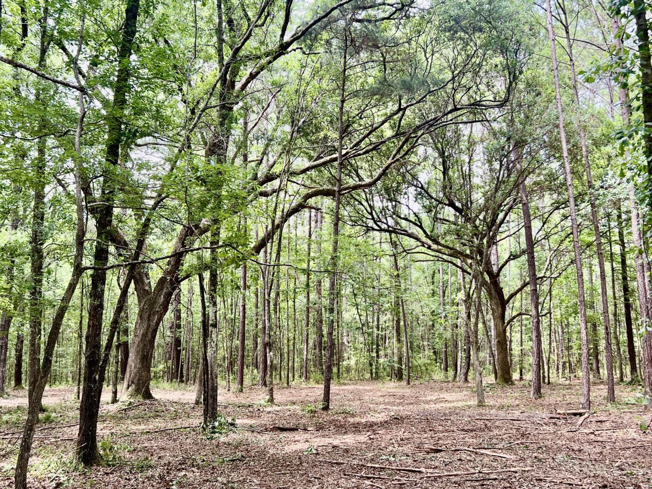 2 Becky Lane Photo 4