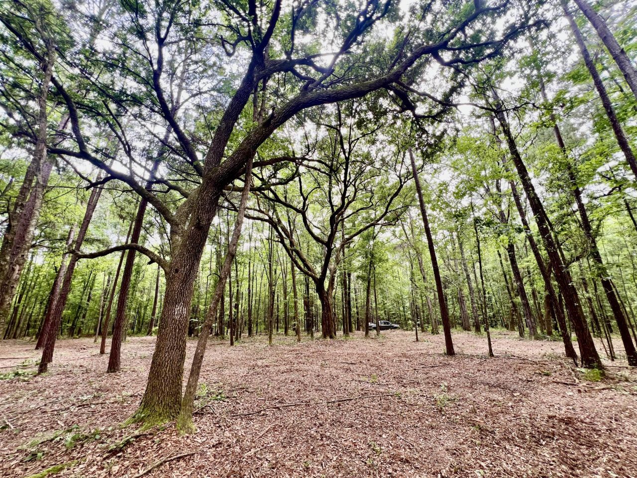 2 Becky Lane Photo 5