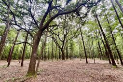 2 Becky Lane photo 4