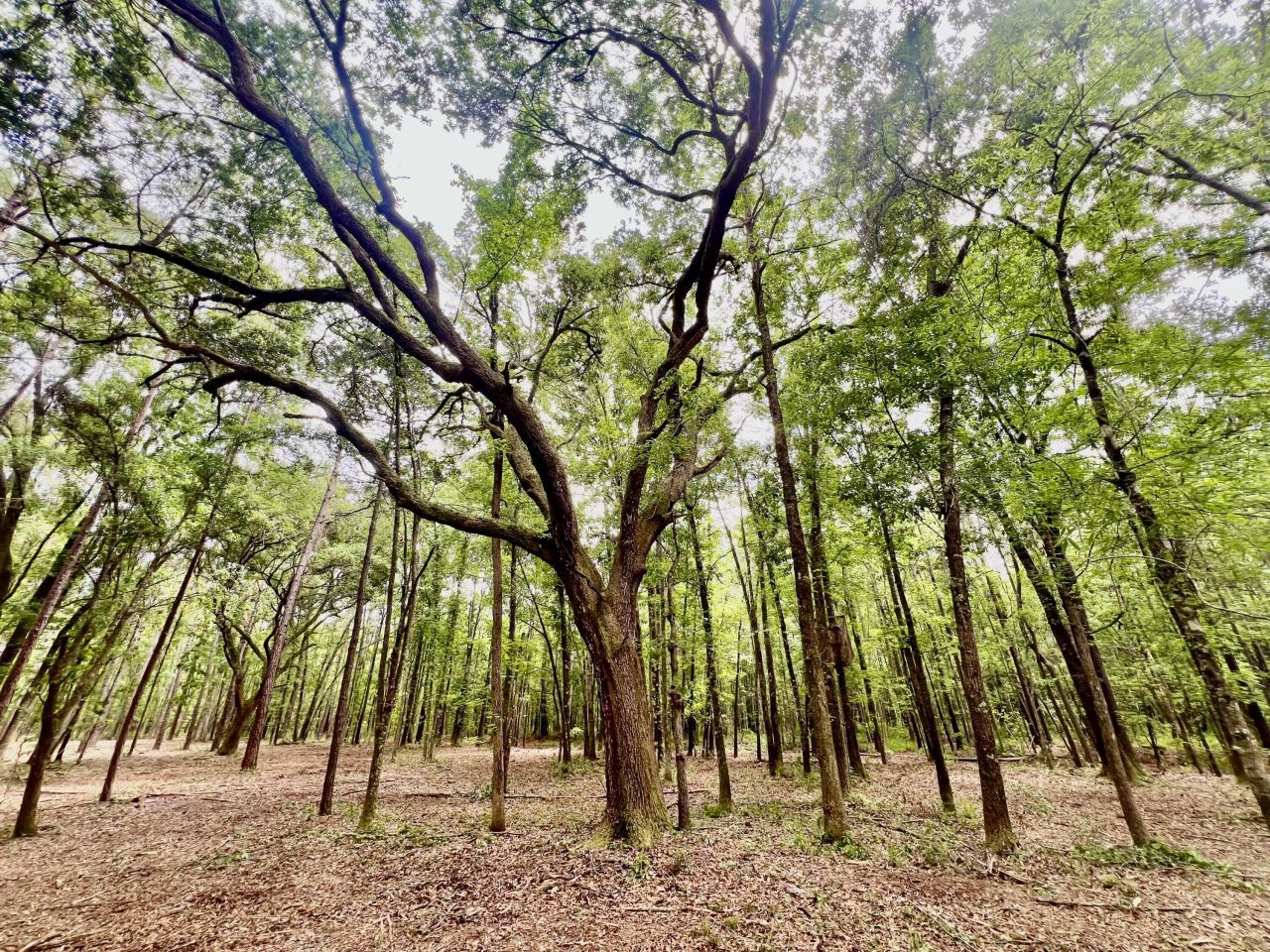 2 Becky Lane Photo 7