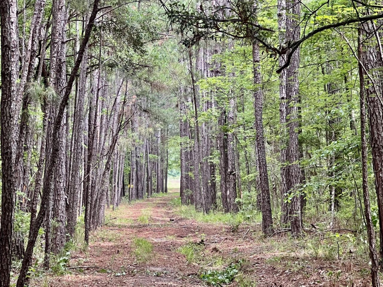 2 Becky Lane Photo 9