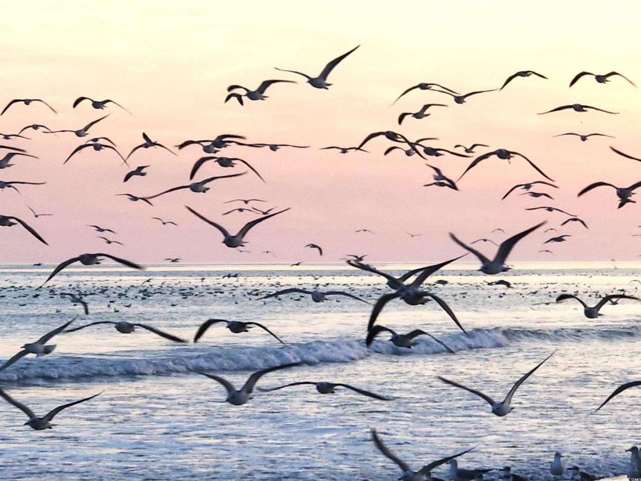 501 S Ocean Blvd. Photo 24