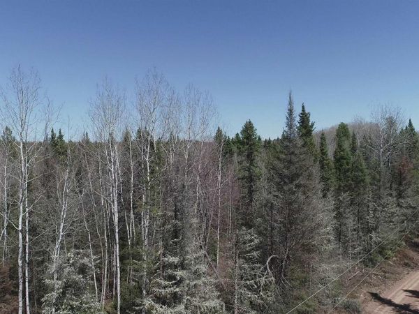 252 Acres Helen Lake Road, Humboldt Twp, MI 49879