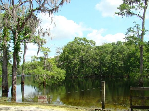 NE 127th St, Branford, FL 32008