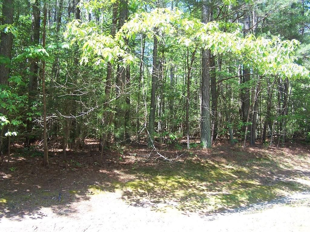 Lot 118 Buoy Drive, Heathsville, VA 22473 Main Photo