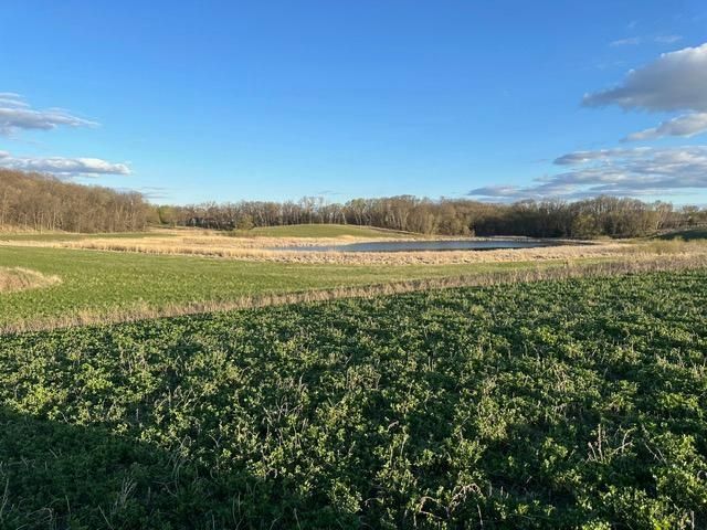 Lot 3 Blk 2 Lakeway Drive, Pelican Rapids, MN 56572 Main Photo