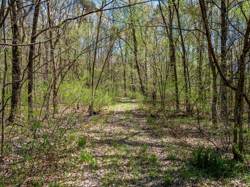 3773 Dixon Road SW, Pataskala, OH 43062 Photo 12