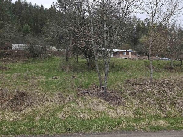 TBD Pine St Blk 43, Lot 3, Peck, ID 83545