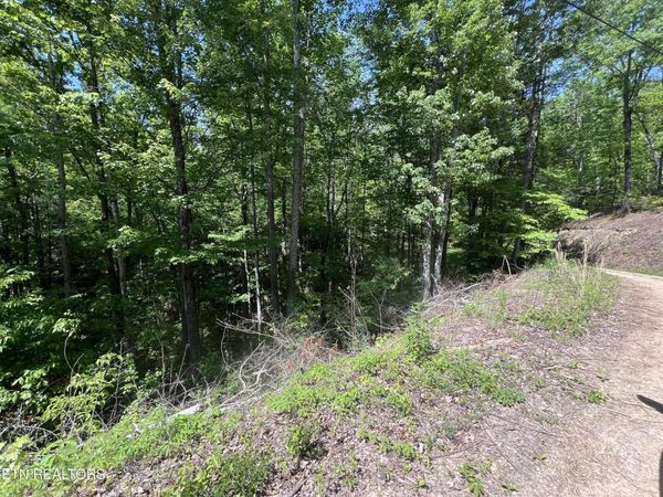 lot 55 Black Oak / lot 26 Butternut Place, Sevierville, TN 37876