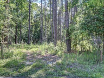 0 Paisan Road, Summerville, SC 29483