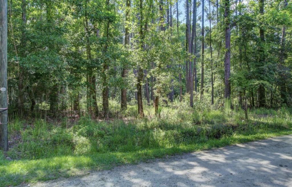 0 Paisan Road Photo 3