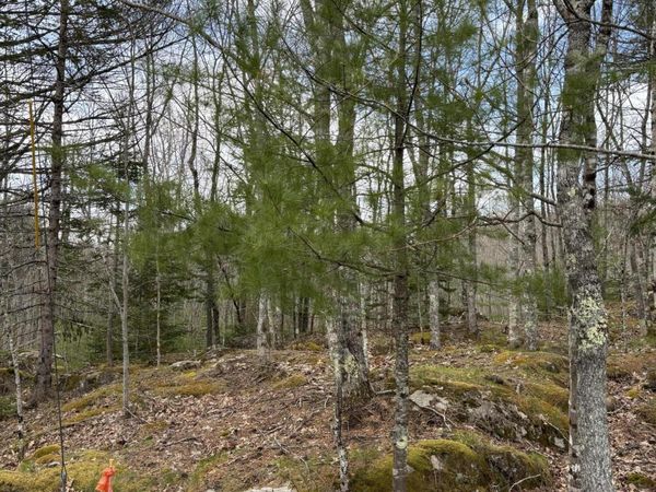 Lot 9 Aspen Drive, South Thomaston, ME 04858