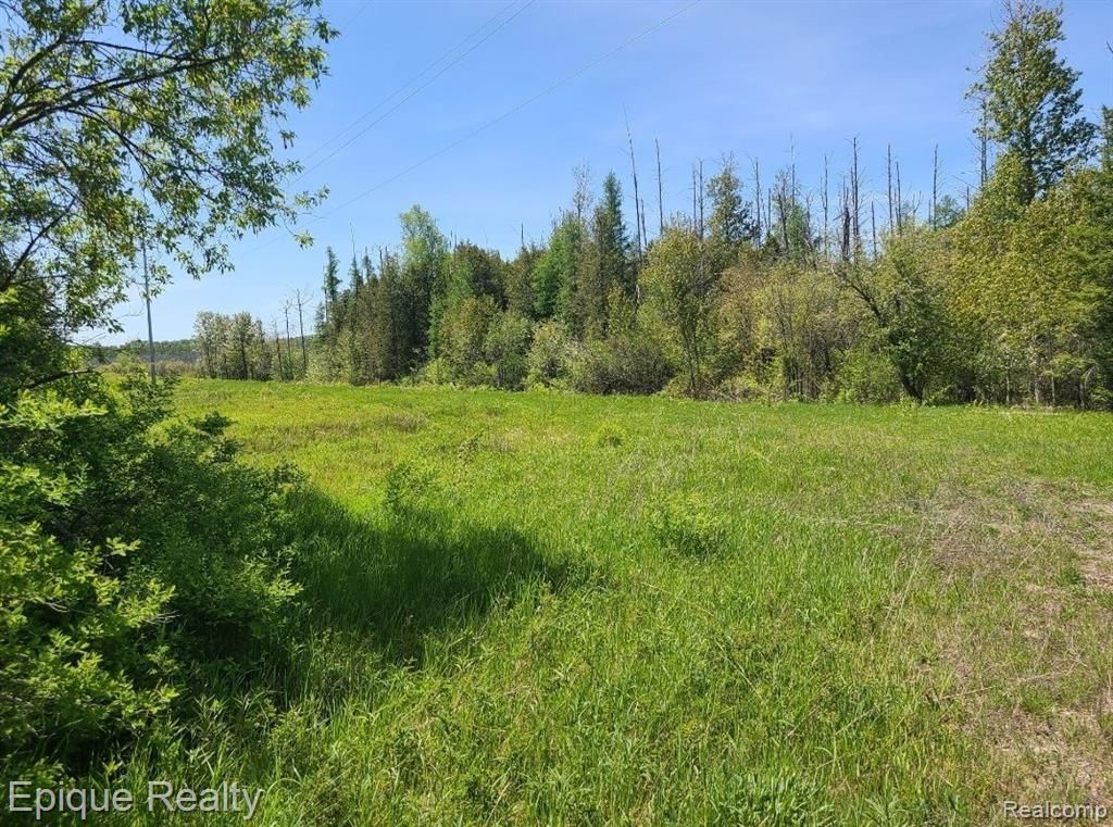 0000 Hebron Mail Route Rd, Hebron Township, MI 49721 Main Photo