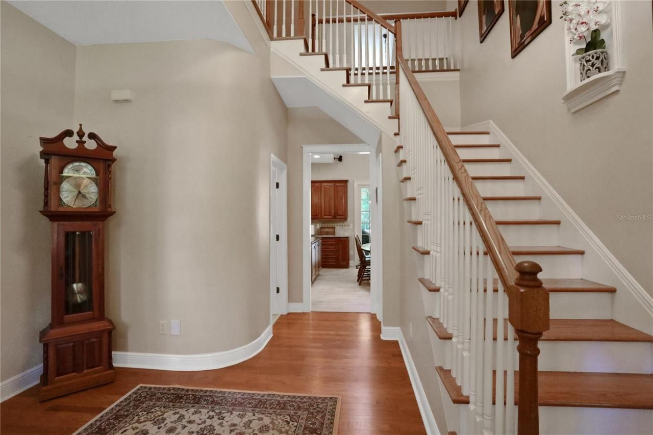 8608 Poinsettia Drive, Temple Terrace, FL 33637 Photo