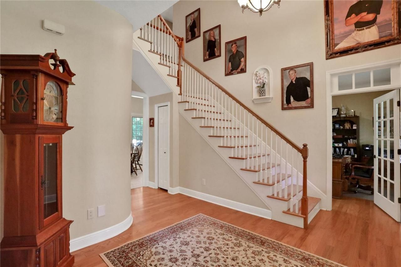 8608 Poinsettia Drive, Temple Terrace, FL 33637 Photo