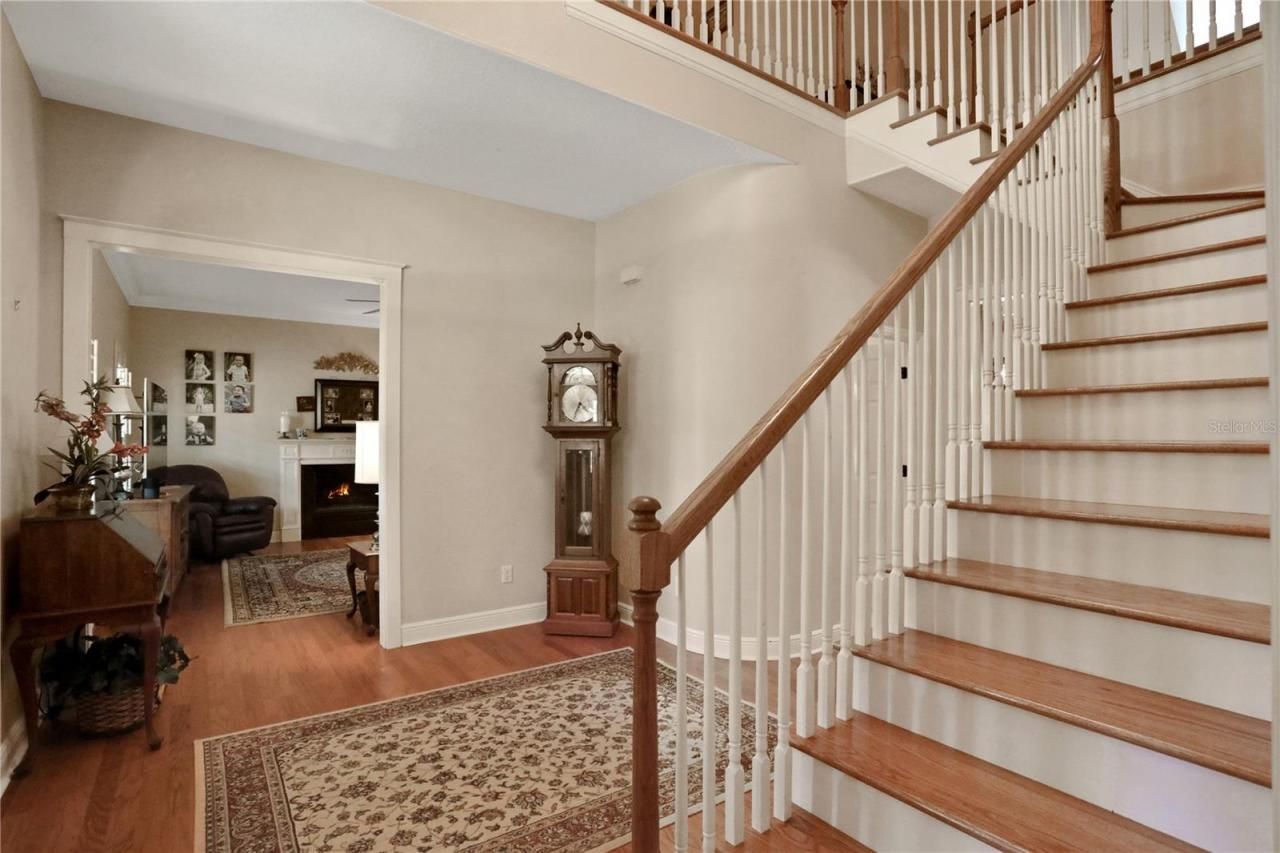 8608 Poinsettia Drive, Temple Terrace, FL 33637 Photo