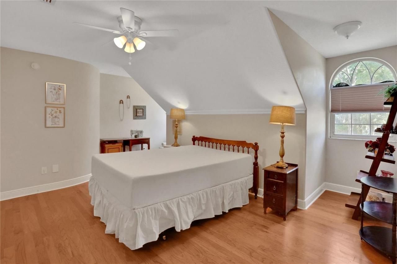 8608 Poinsettia Drive, Temple Terrace, FL 33637 Photo