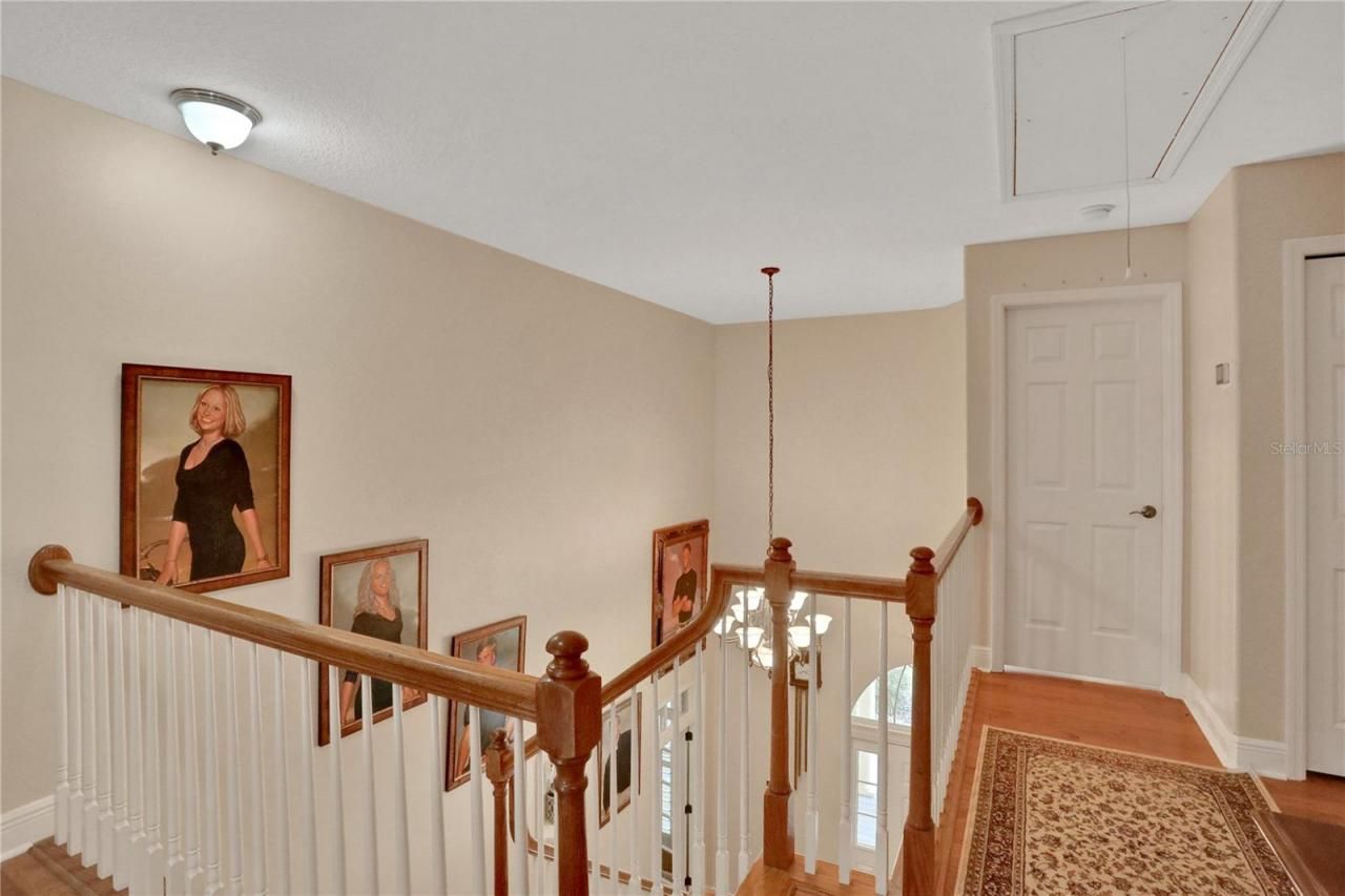 8608 Poinsettia Drive, Temple Terrace, FL 33637 Photo