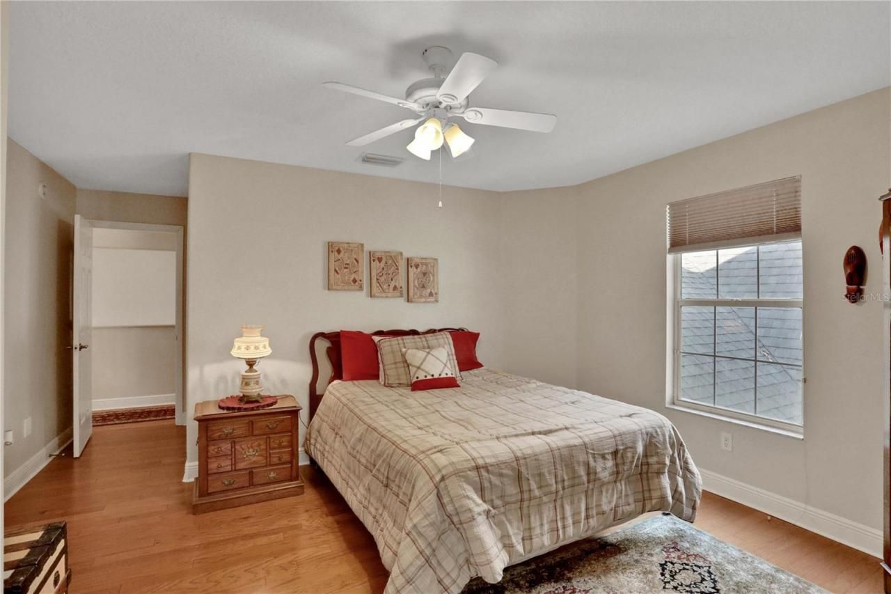 8608 Poinsettia Drive, Temple Terrace, FL 33637 Photo