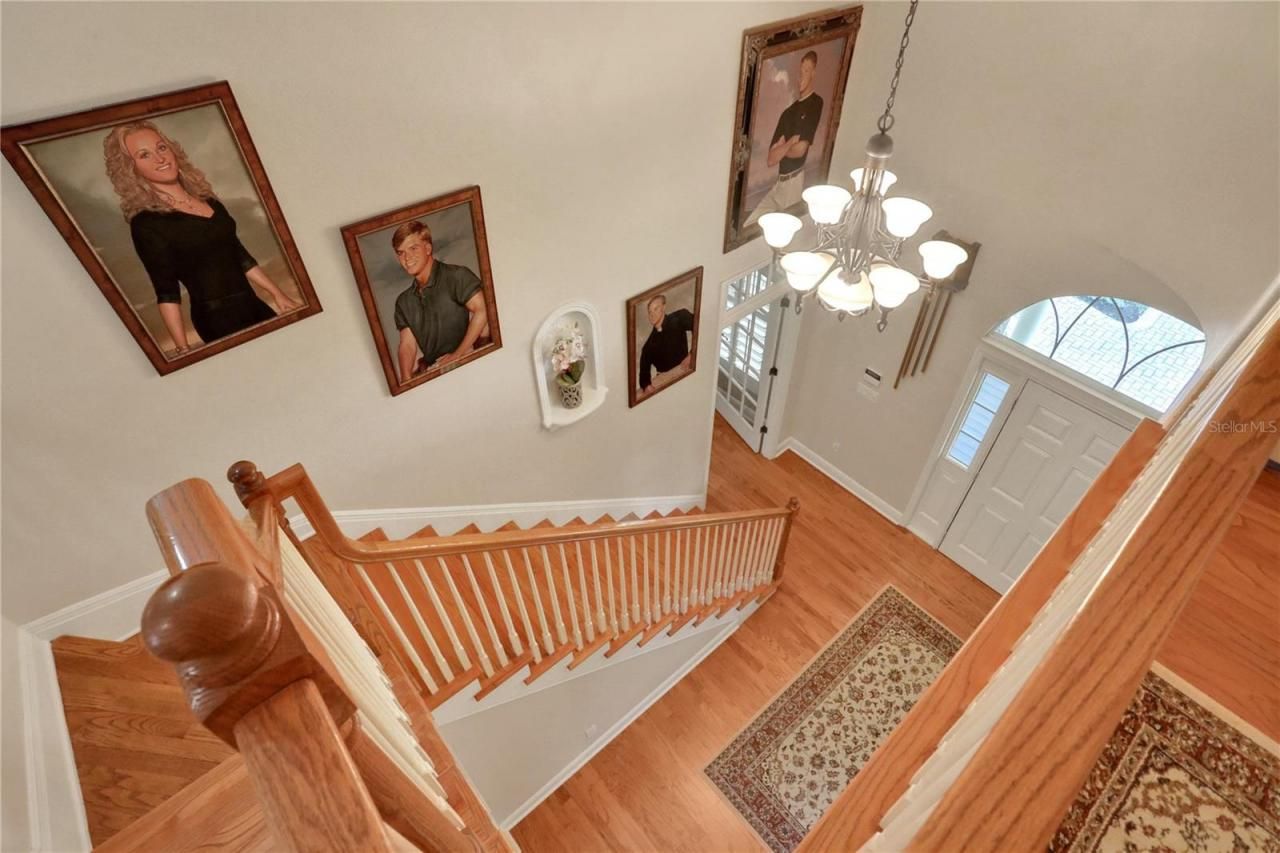 8608 Poinsettia Drive, Temple Terrace, FL 33637 Photo