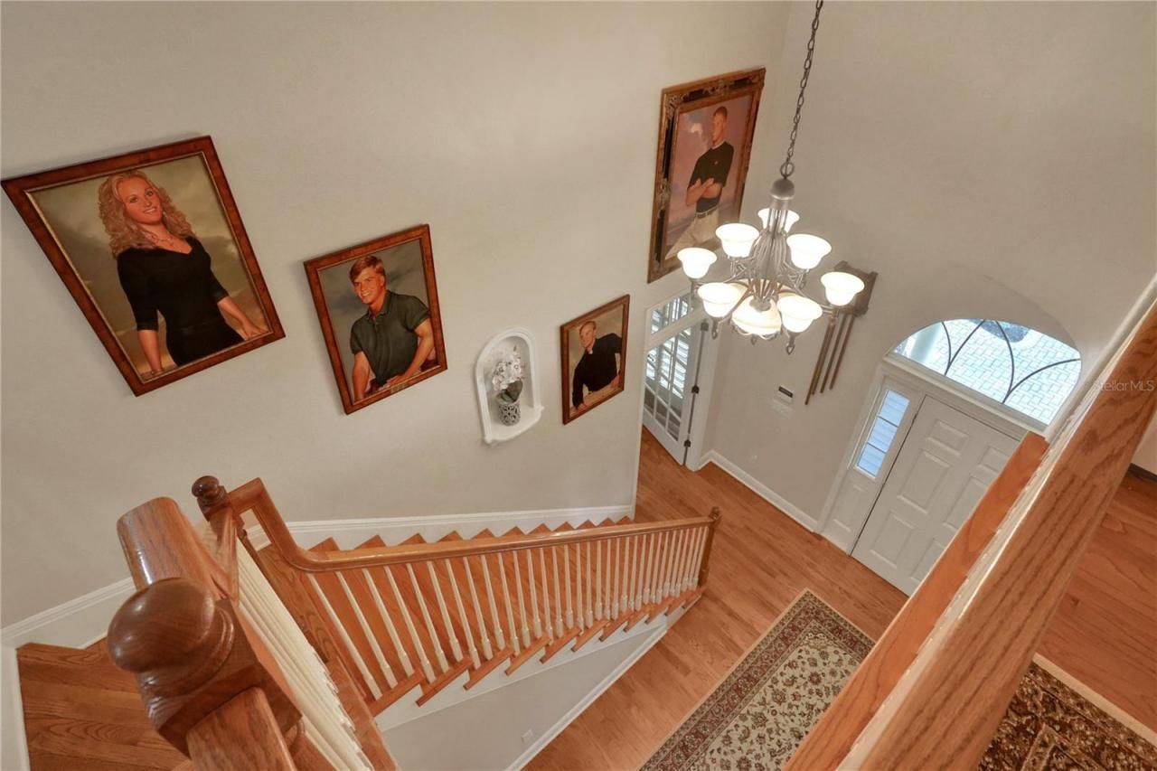 8608 Poinsettia Drive, Temple Terrace, FL 33637 Photo