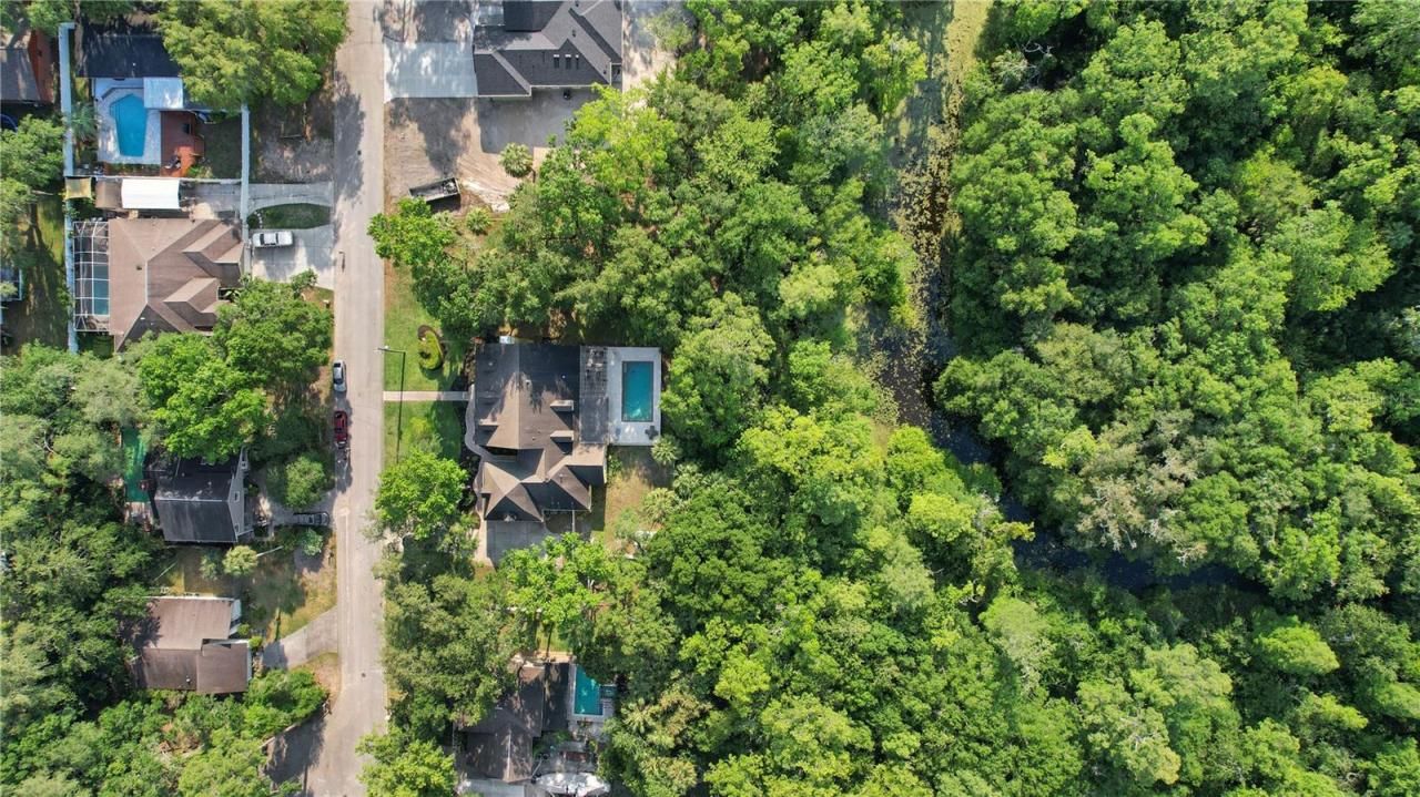 8608 Poinsettia Drive, Temple Terrace, FL 33637 Photo