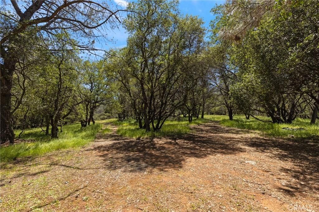 4 Oregon Gulch, Cherokee, CA 95965 Main Photo