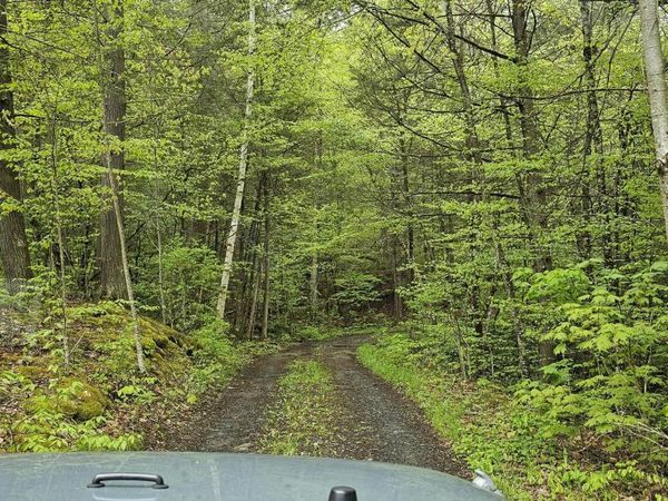 5.95 Acres Tae Kwon Road, North Blenheim, NY 12131