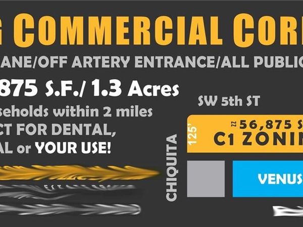 1500 SW 5th ST, CAPE CORAL, FL 33991