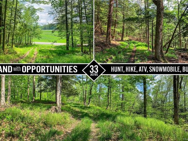 0 County Highway 44, Other, NY 13849