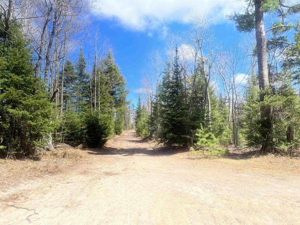480 Acres off CR AAA Road, Michigamme Twp, MI 49861